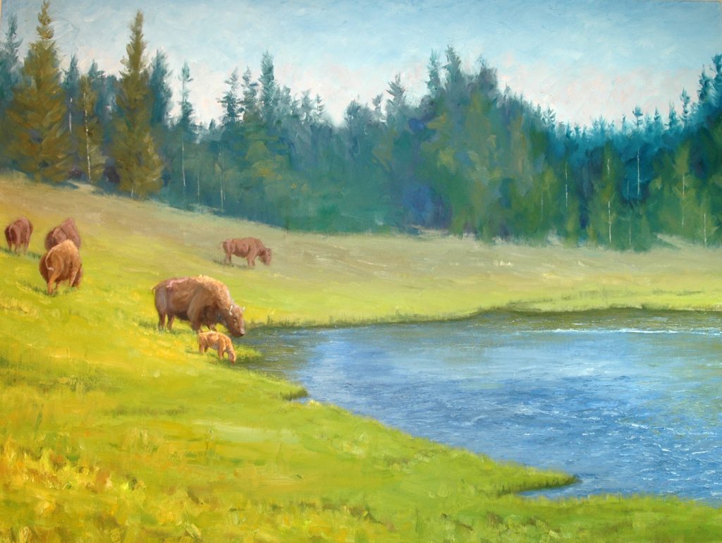 Bison at Creek